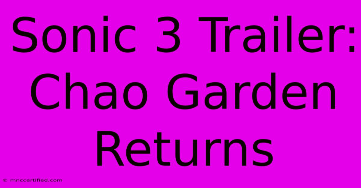 Sonic 3 Trailer: Chao Garden Returns