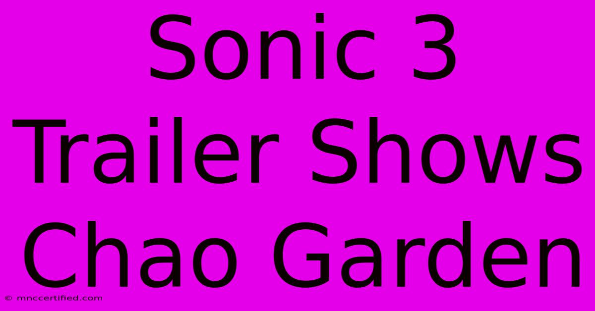 Sonic 3 Trailer Shows Chao Garden