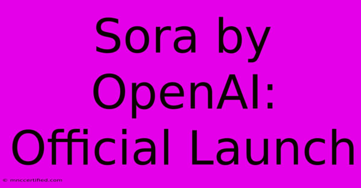 Sora By OpenAI: Official Launch