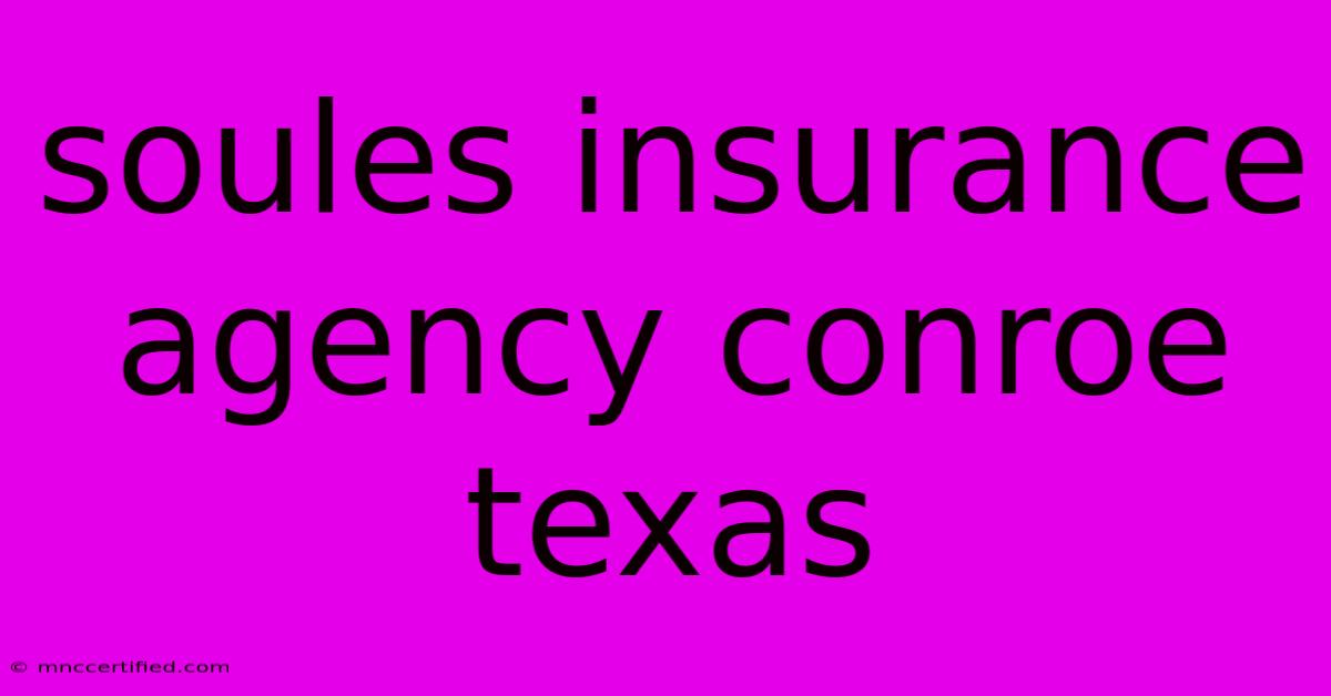 Soules Insurance Agency Conroe Texas