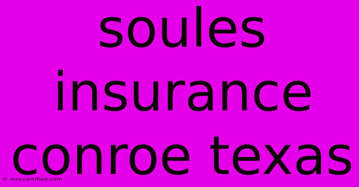 Soules Insurance Conroe Texas