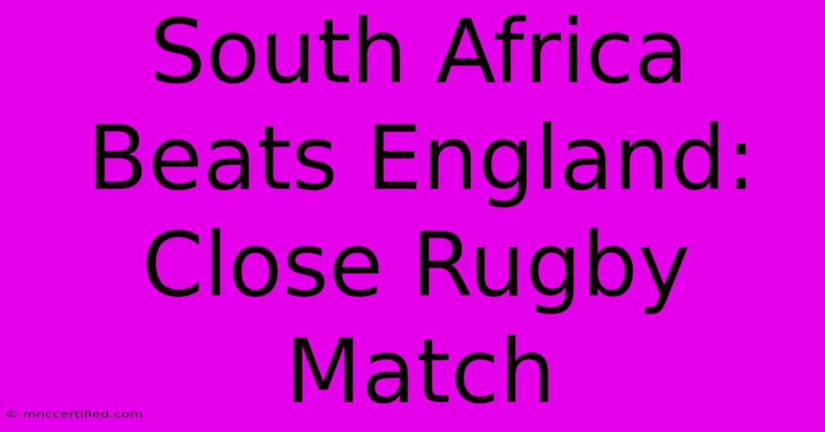 South Africa Beats England: Close Rugby Match