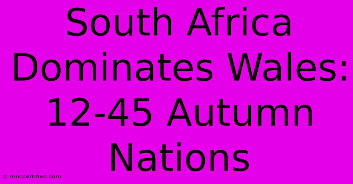 South Africa Dominates Wales: 12-45 Autumn Nations