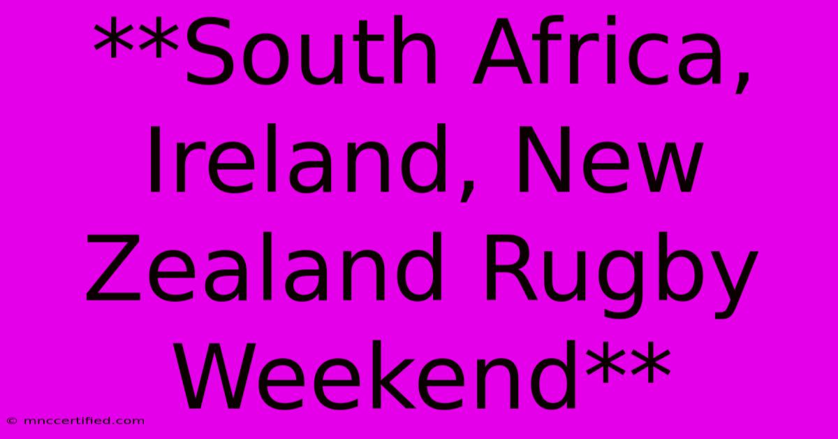 **South Africa, Ireland, New Zealand Rugby Weekend** 