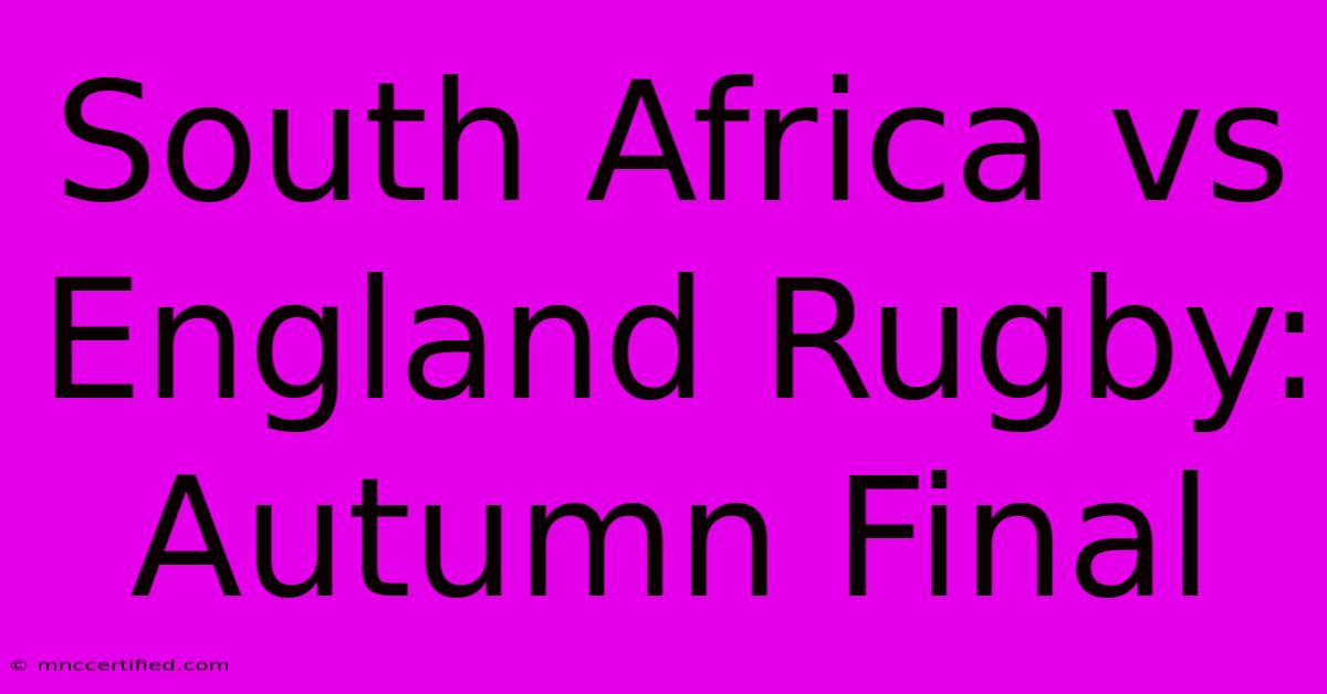 South Africa Vs England Rugby: Autumn Final