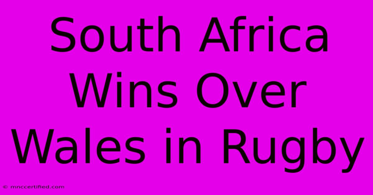 South Africa Wins Over Wales In Rugby