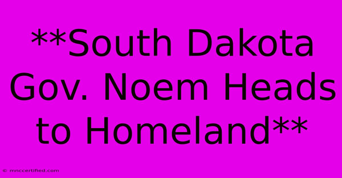 **South Dakota Gov. Noem Heads To Homeland**