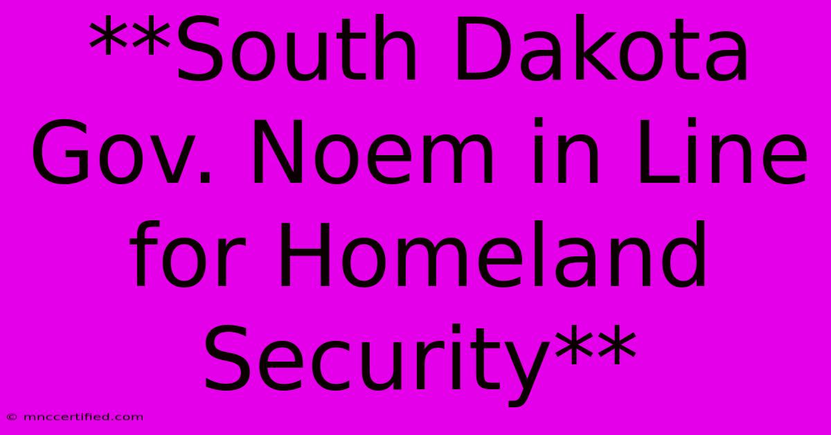 **South Dakota Gov. Noem In Line For Homeland Security**