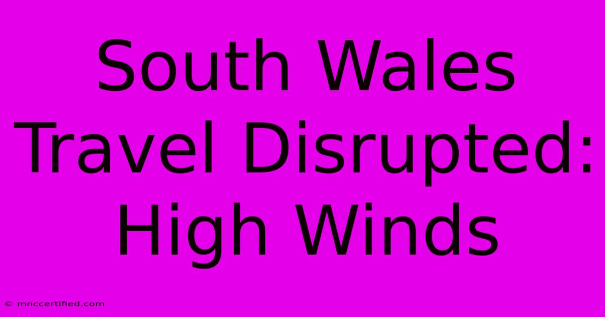 South Wales Travel Disrupted: High Winds