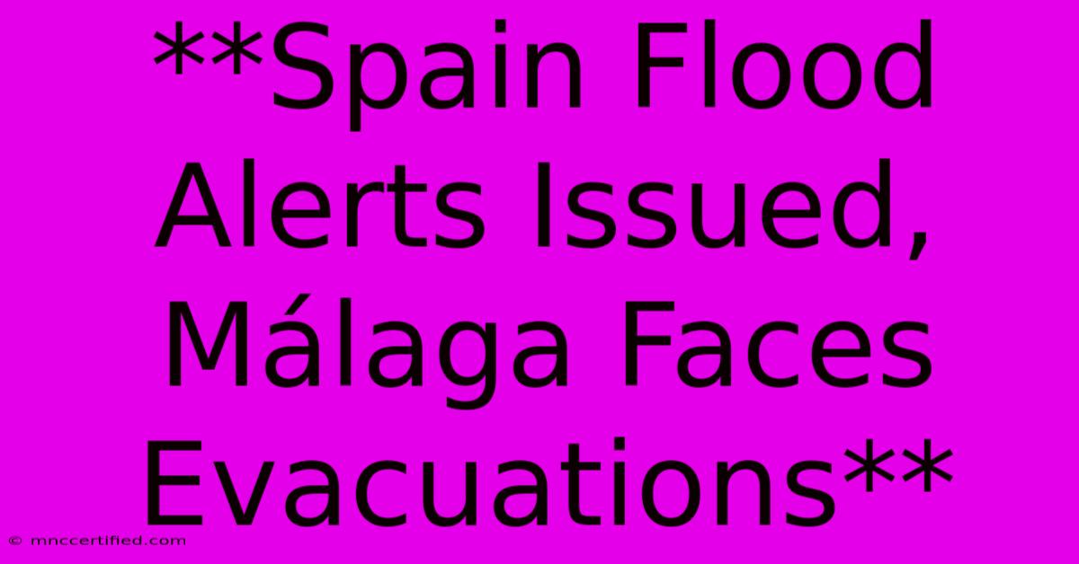 **Spain Flood Alerts Issued, Málaga Faces Evacuations** 