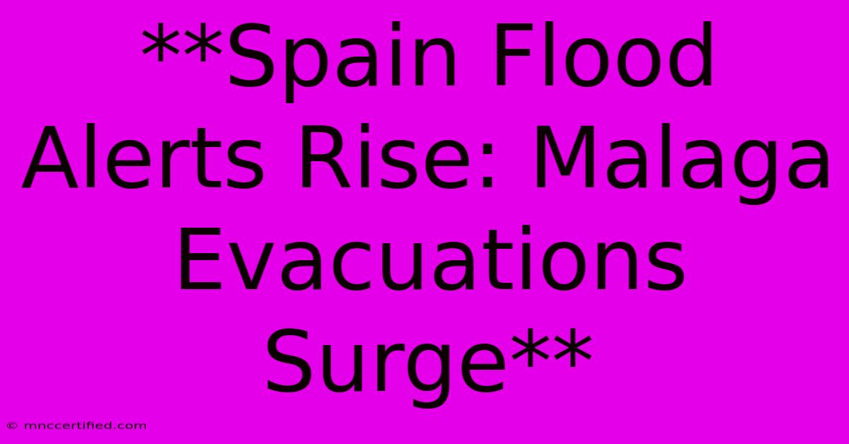 **Spain Flood Alerts Rise: Malaga Evacuations Surge**