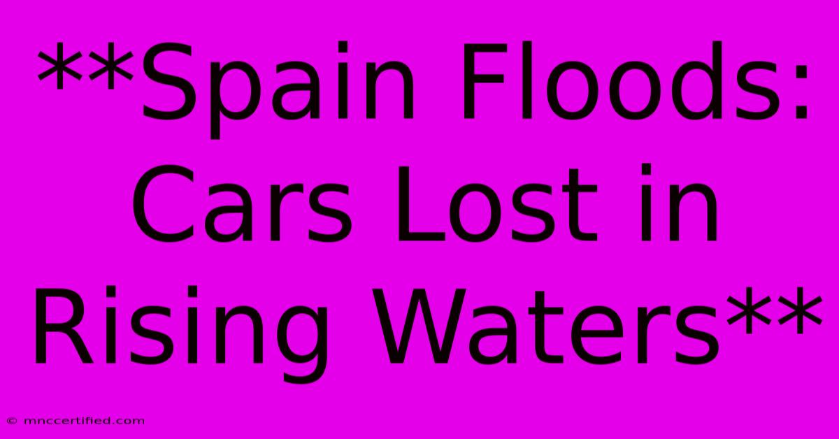 **Spain Floods: Cars Lost In Rising Waters** 