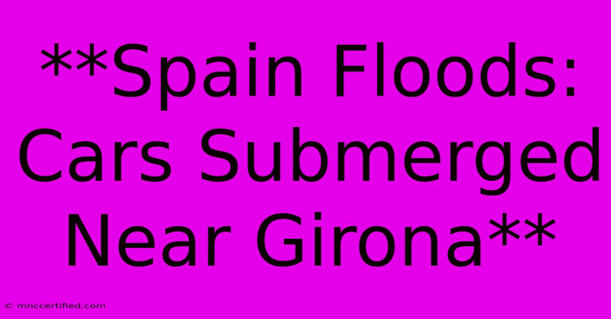 **Spain Floods: Cars Submerged Near Girona**