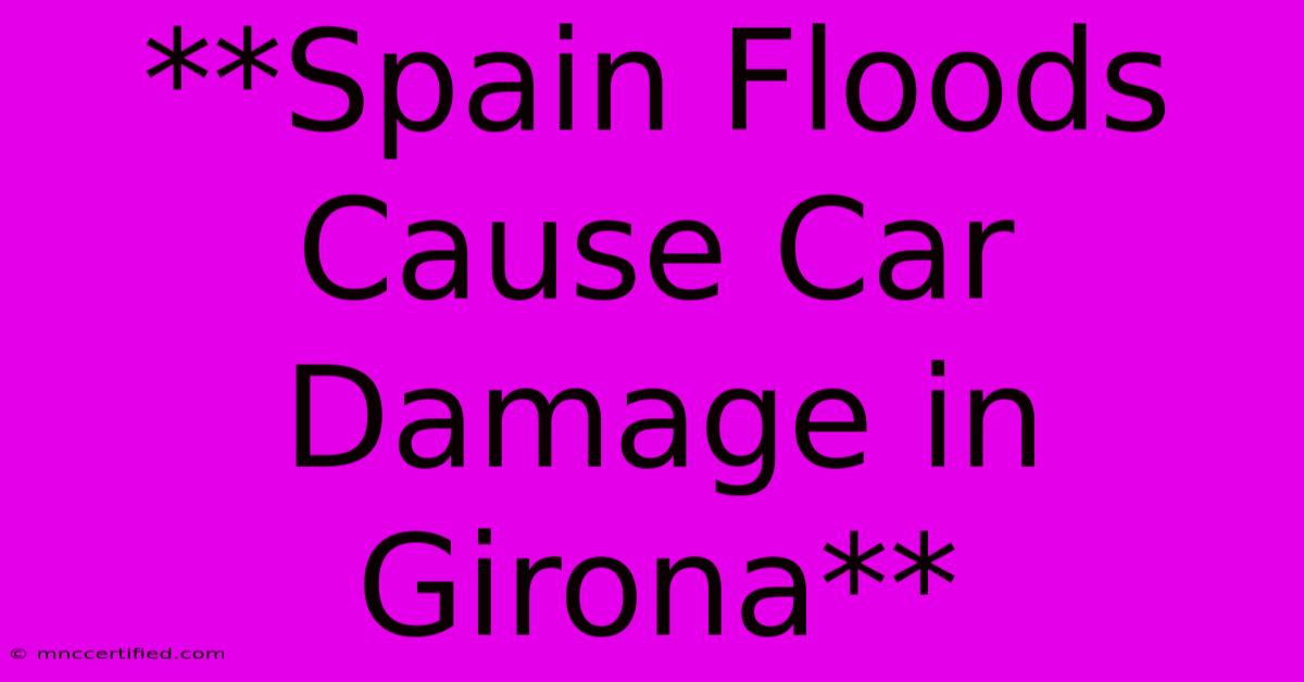 **Spain Floods Cause Car Damage In Girona** 