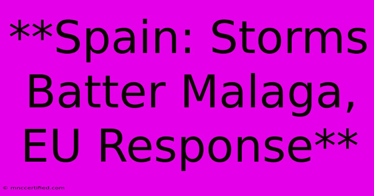 **Spain: Storms Batter Malaga, EU Response**