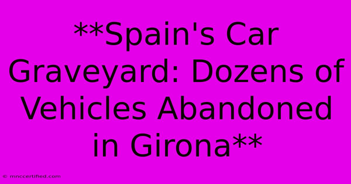 **Spain's Car Graveyard: Dozens Of Vehicles Abandoned In Girona**