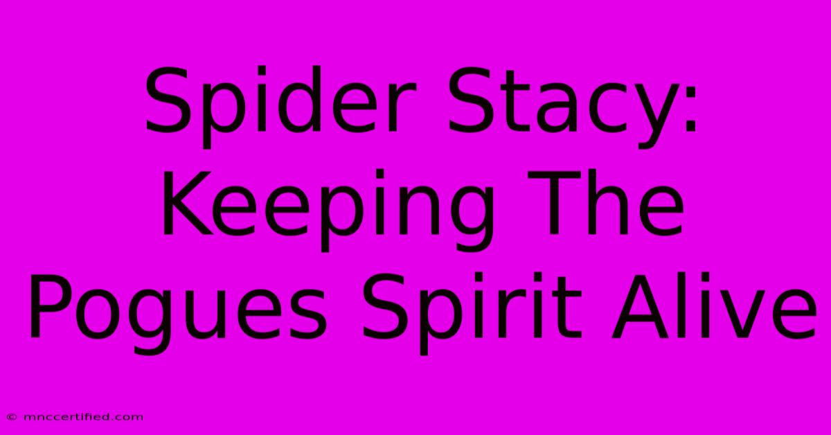 Spider Stacy: Keeping The Pogues Spirit Alive