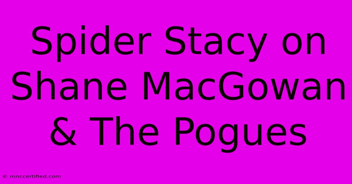 Spider Stacy On Shane MacGowan & The Pogues