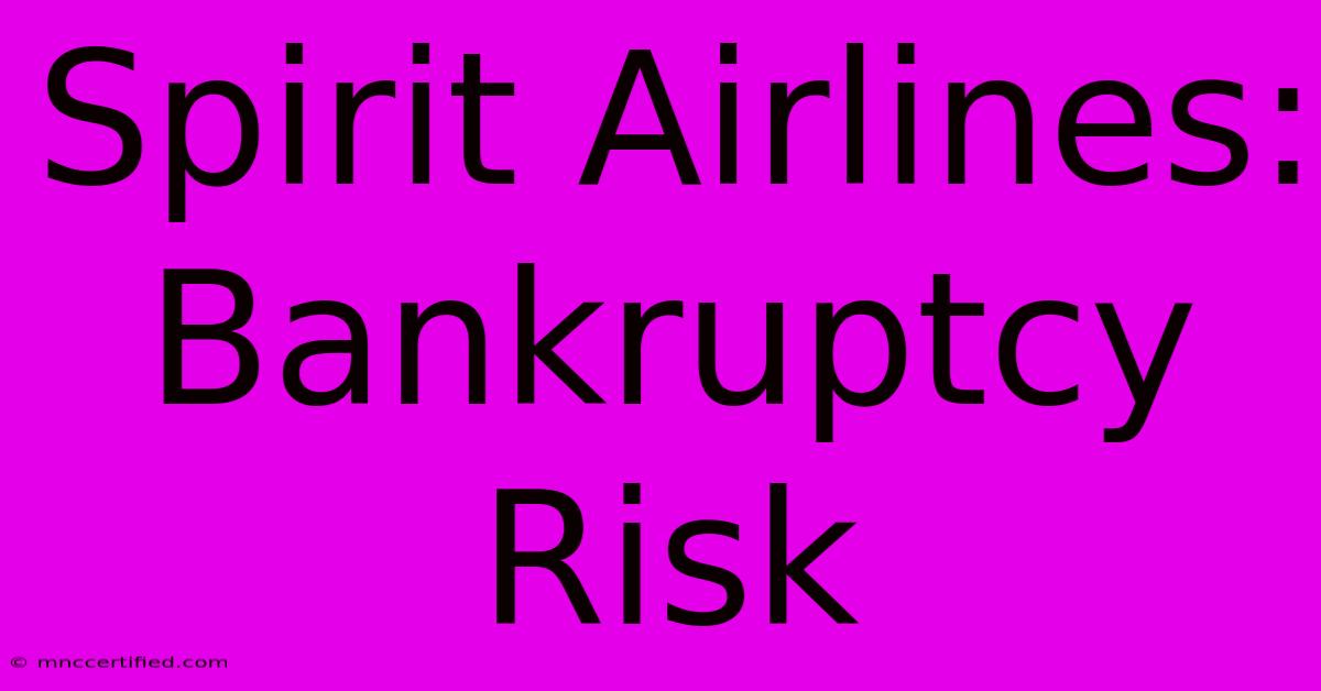 Spirit Airlines: Bankruptcy Risk