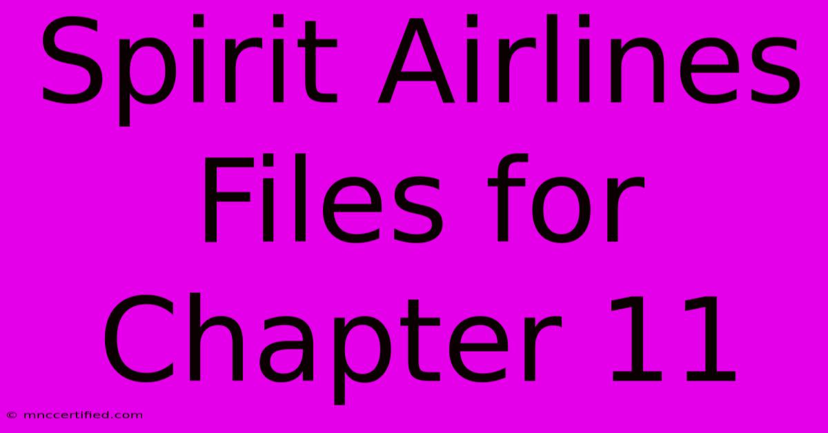 Spirit Airlines Files For Chapter 11