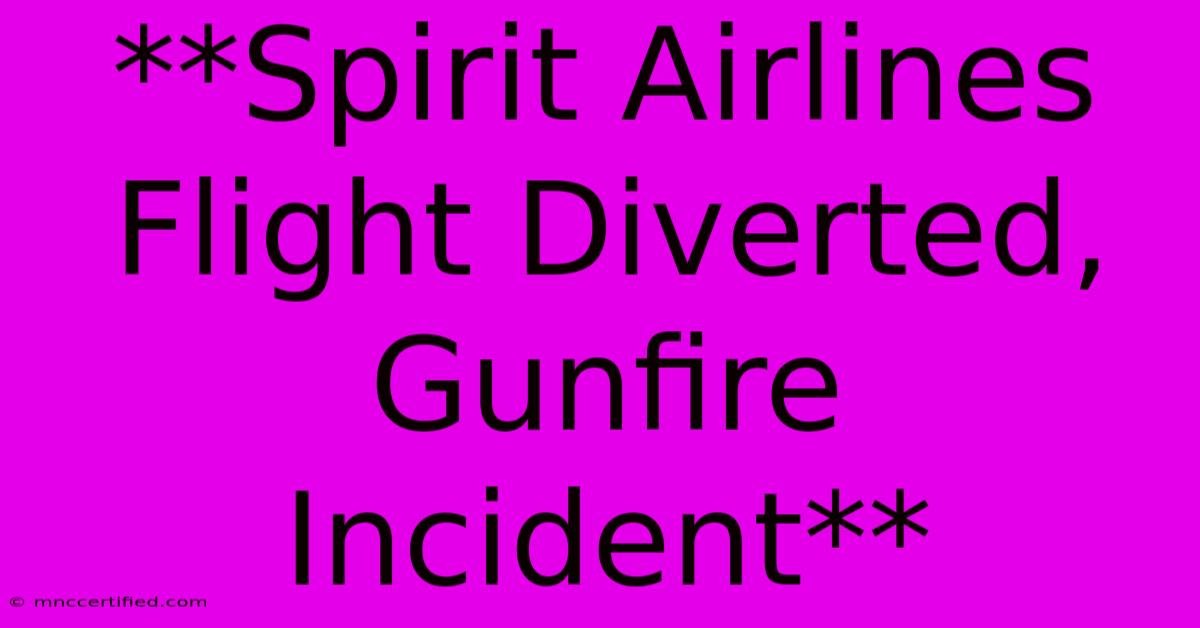 **Spirit Airlines Flight Diverted, Gunfire Incident**