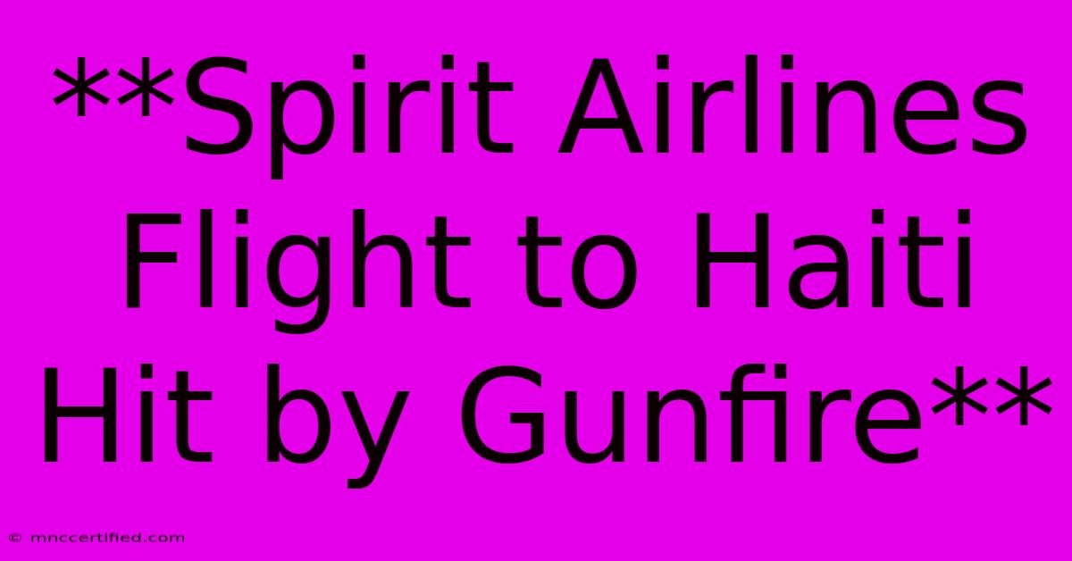 **Spirit Airlines Flight To Haiti Hit By Gunfire** 