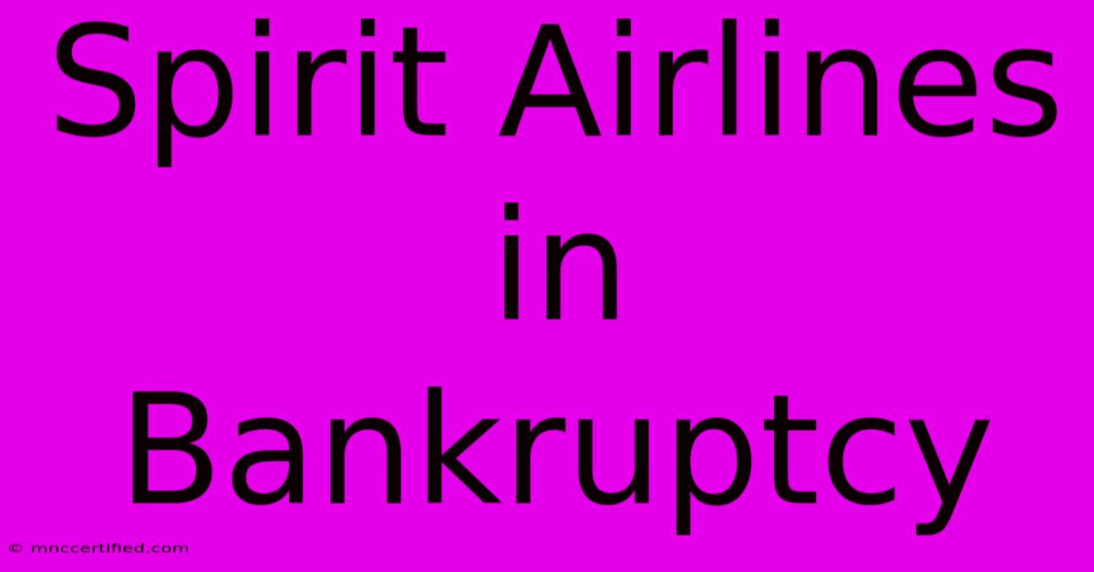 Spirit Airlines In Bankruptcy