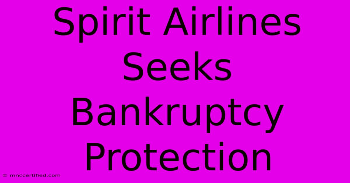 Spirit Airlines Seeks Bankruptcy Protection