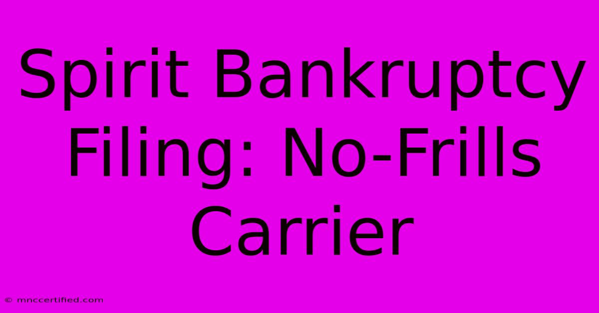 Spirit Bankruptcy Filing: No-Frills Carrier