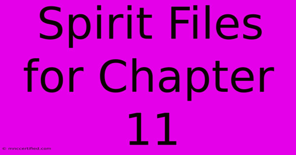 Spirit Files For Chapter 11