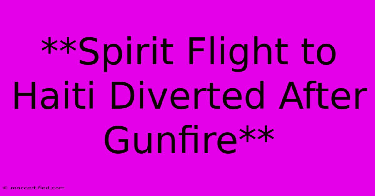 **Spirit Flight To Haiti Diverted After Gunfire**