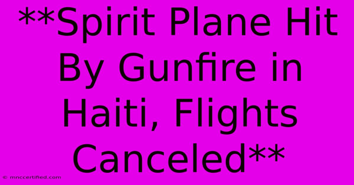 **Spirit Plane Hit By Gunfire In Haiti, Flights Canceled**