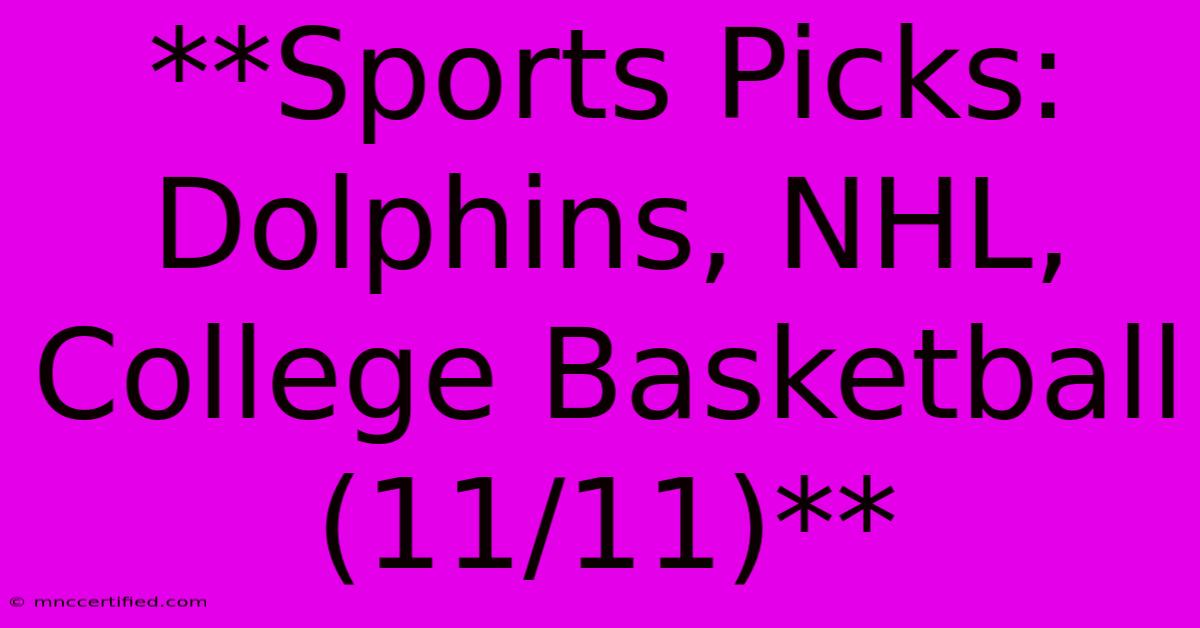 **Sports Picks: Dolphins, NHL, College Basketball (11/11)**