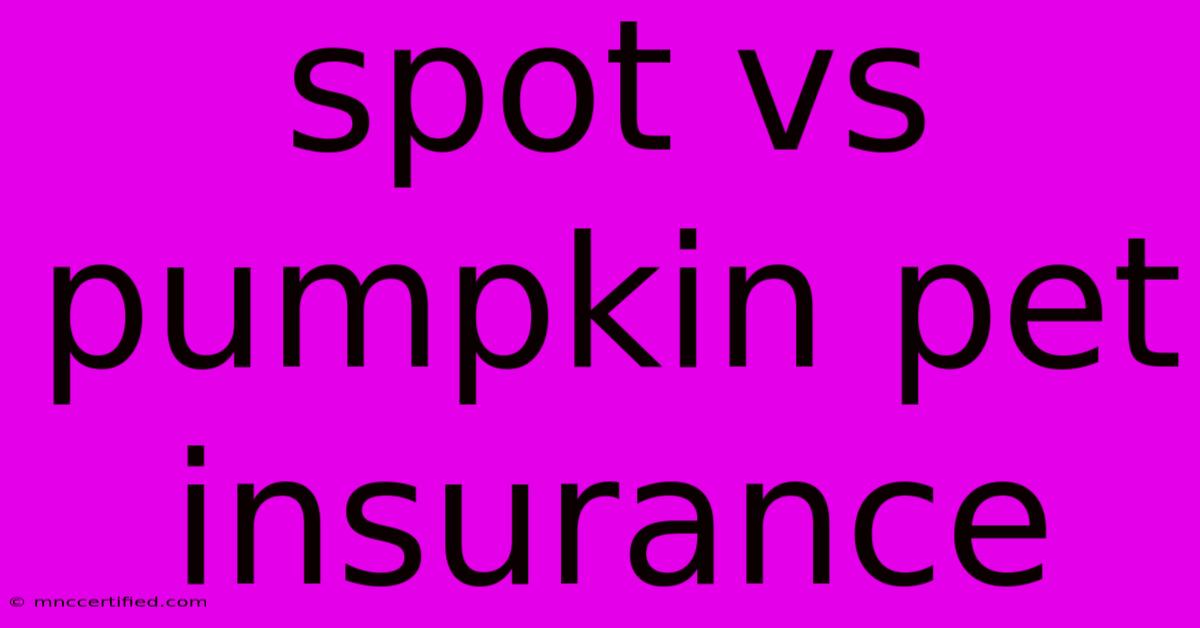 Spot Vs Pumpkin Pet Insurance