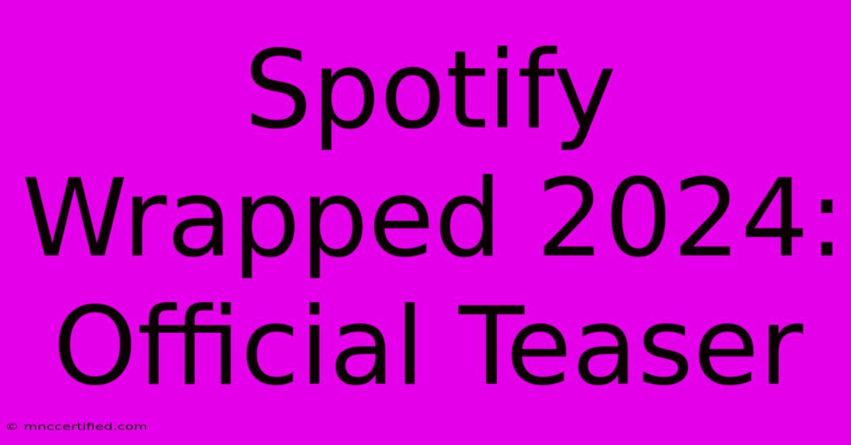 Spotify Wrapped 2024: Official Teaser