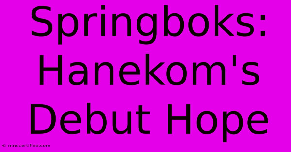 Springboks: Hanekom's Debut Hope