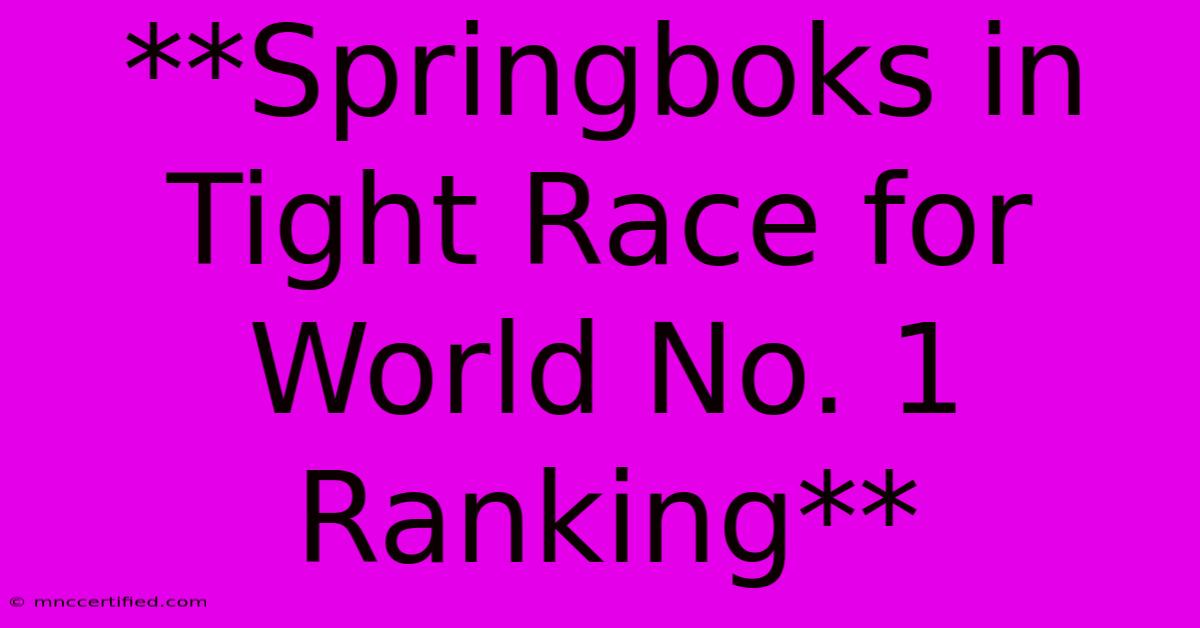 **Springboks In Tight Race For World No. 1 Ranking**