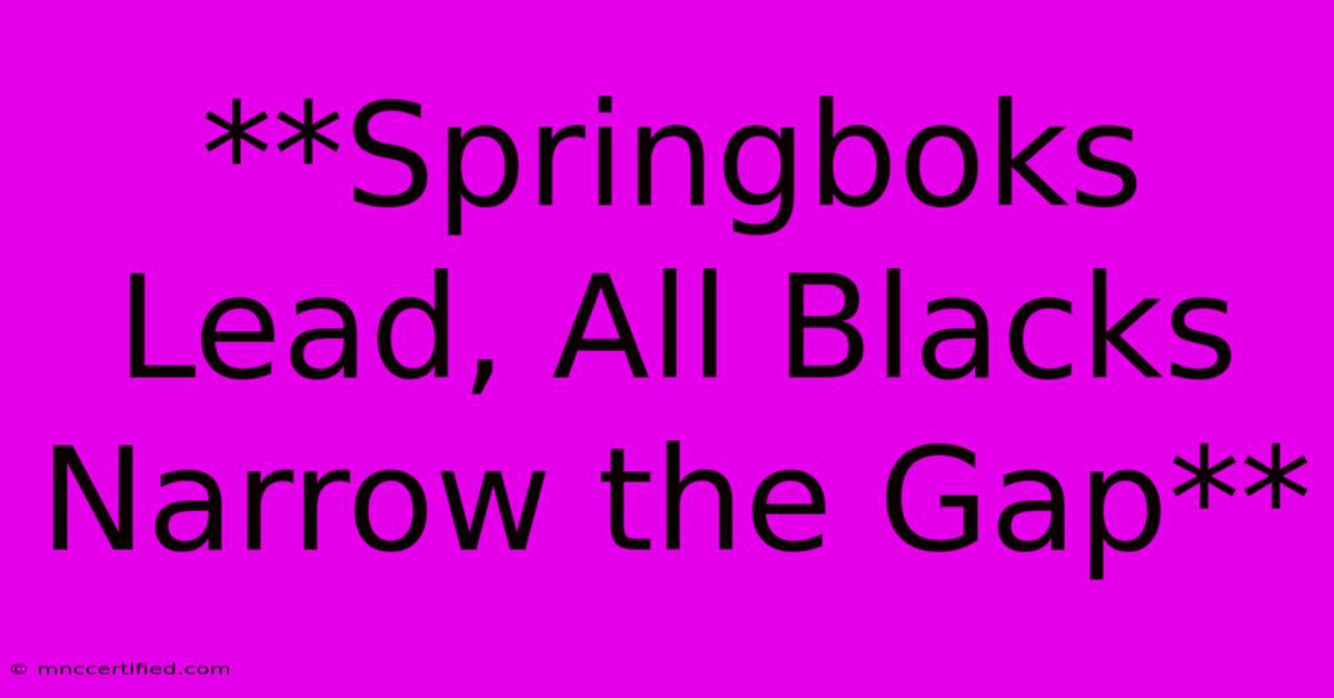 **Springboks Lead, All Blacks Narrow The Gap**