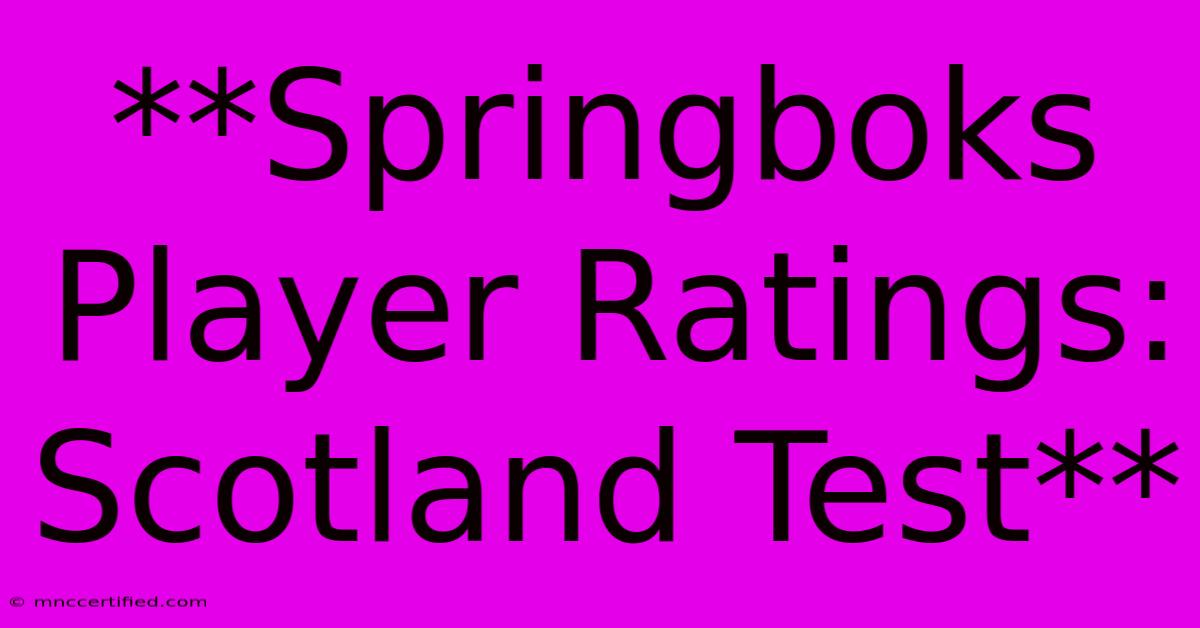 **Springboks Player Ratings: Scotland Test**