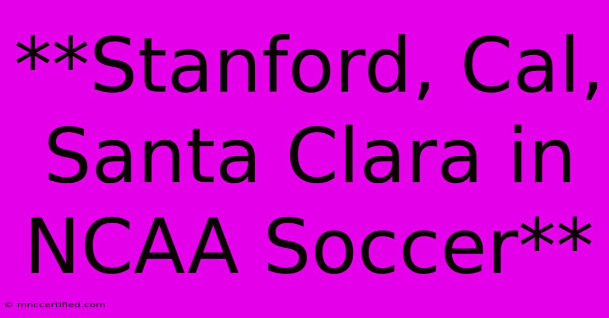 **Stanford, Cal, Santa Clara In NCAA Soccer**