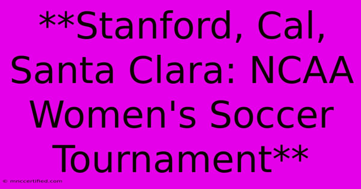 **Stanford, Cal, Santa Clara: NCAA Women's Soccer Tournament**