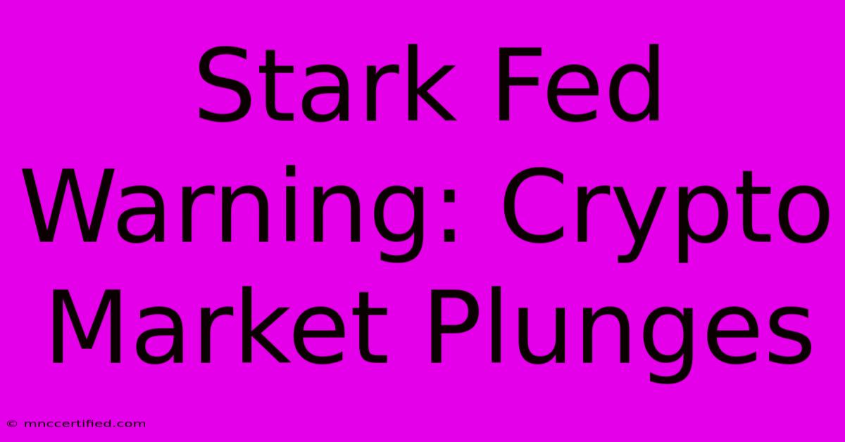 Stark Fed Warning: Crypto Market Plunges