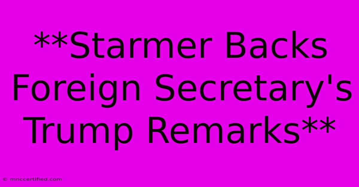 **Starmer Backs Foreign Secretary's Trump Remarks**