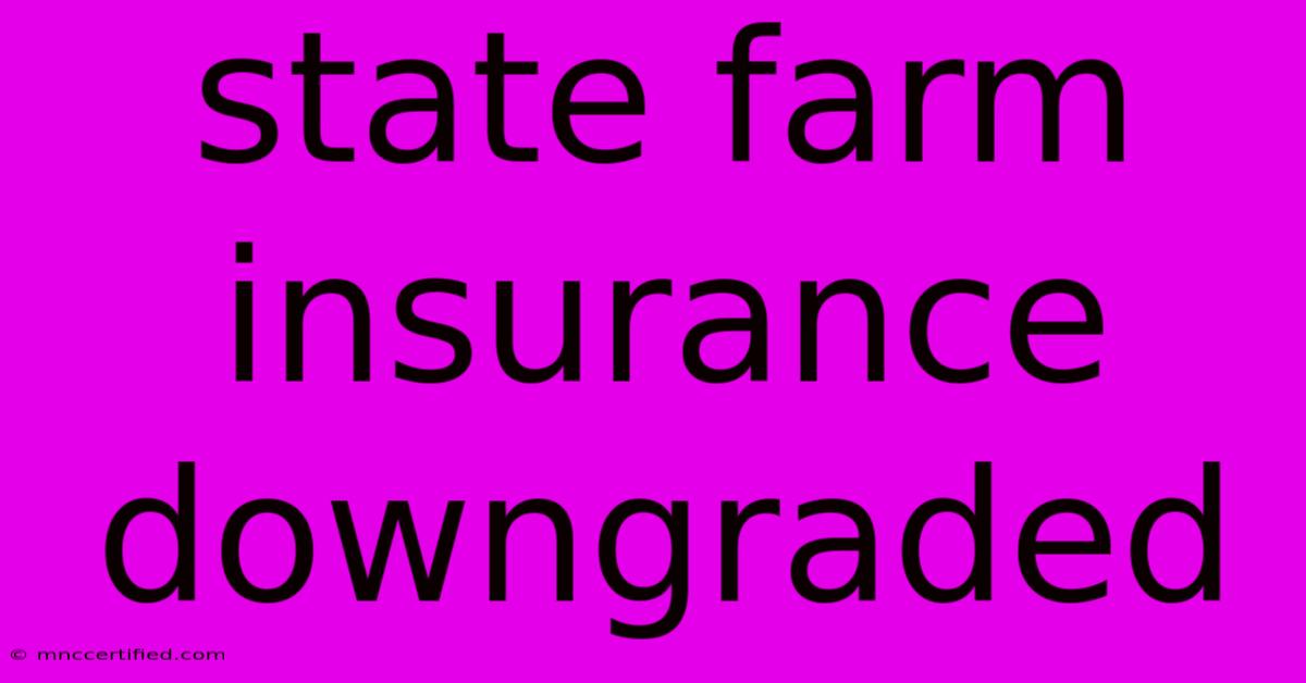 State Farm Insurance Downgraded