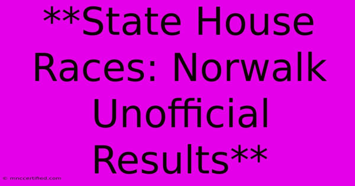 **State House Races: Norwalk Unofficial Results**