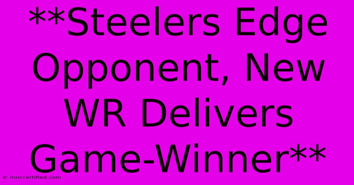 **Steelers Edge Opponent, New WR Delivers Game-Winner**