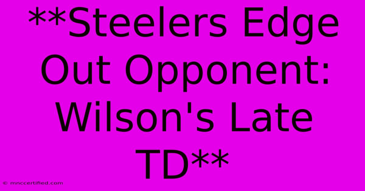 **Steelers Edge Out Opponent: Wilson's Late TD** 