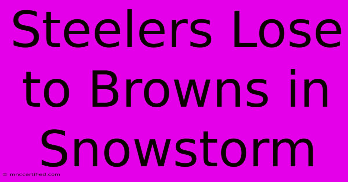 Steelers Lose To Browns In Snowstorm