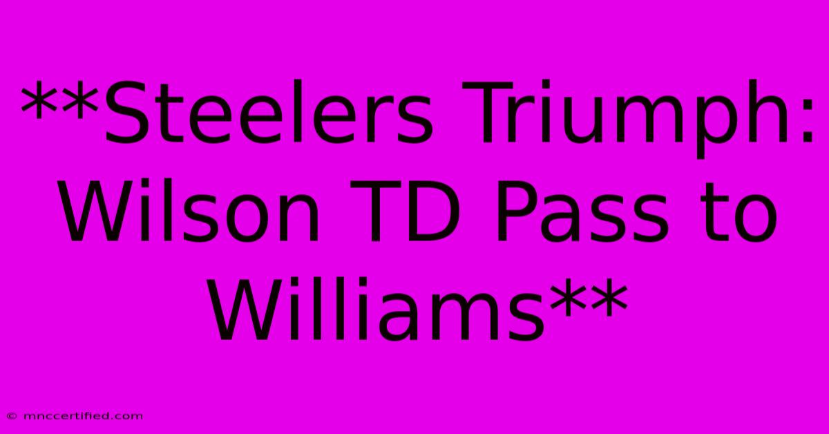 **Steelers Triumph: Wilson TD Pass To Williams**