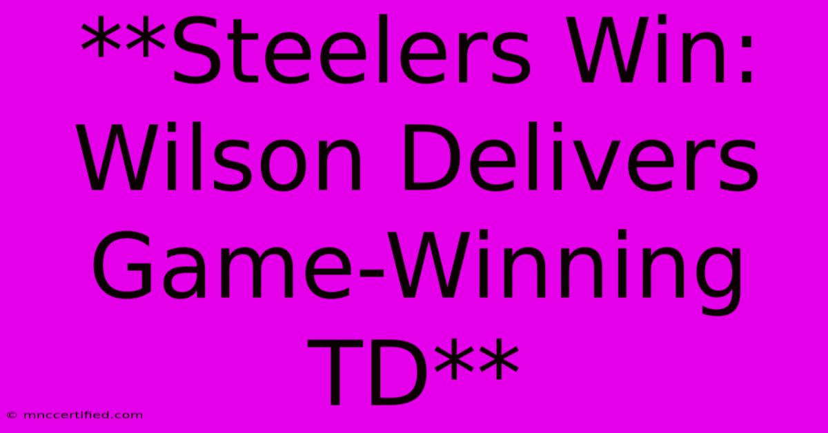 **Steelers Win: Wilson Delivers Game-Winning TD**